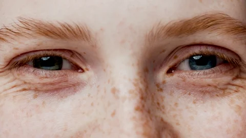 Entry-level job opportunities