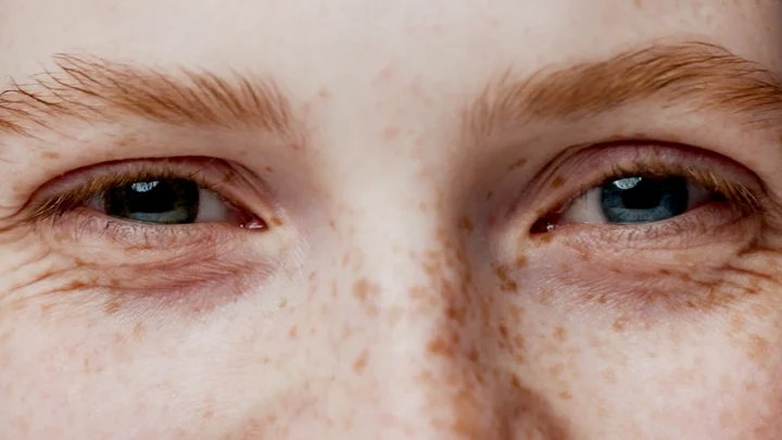 Entry-level job opportunities